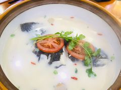 -全乐鱼馆·淳牌有机鱼直营店
