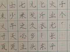 -赵汝飞练字硬笔书法(博泰国际校区)