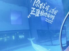 -正佳极地海洋世界