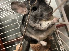 -龙猫仔乐园(惠福东路店)