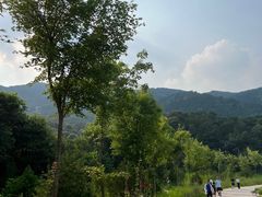 -北京西山国家森林公园