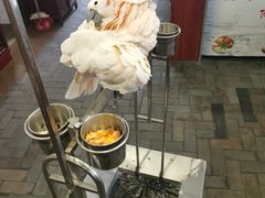 -四海楼(如皋定慧禅寺店)