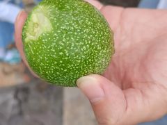 -梨木台悦来客农家院