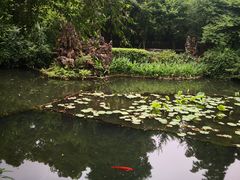 -成都杜甫草堂博物馆