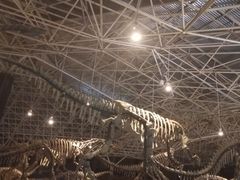 -世界恐龙谷景区