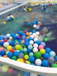 -唯丽莎婴儿游泳小儿推拿馆(清凉门大街店)