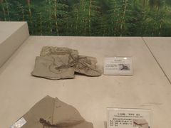 -辽宁古生物博物馆