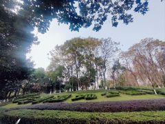 -重庆彩云湖湿地公园