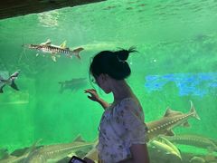 -太平洋海底世界