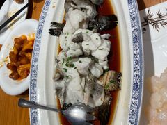 清蒸石斑鱼-頂好酒家·经典粤菜(海信广场店)