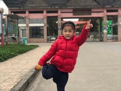 -上海都市菜园