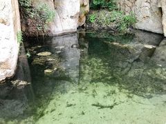 -碓臼峪自然风景区