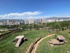 -青藏高原野生动物园