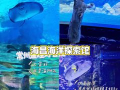 -常州海昌海洋探索馆