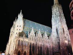 -斯蒂芬主教座堂(Stephansdom)
