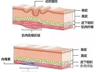 很多小仙女都种草了一堆眼霜产品 然而