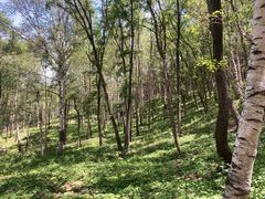 -白草畔自然风景区