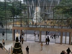 -深圳湾万象城(南山店)