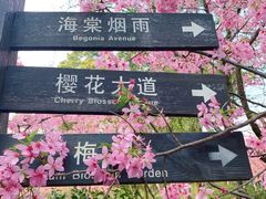 -南山植物园
