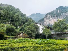 -雁荡山风景名胜区