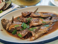 -宾朋海鲜特色美食餐厅·纯手工鲅鱼水饺(兴海路店)