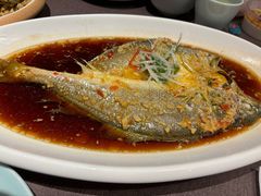-羲和雅苑•北京烤鸭(乐园道万象城店)