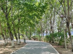 -长白岛森林公园