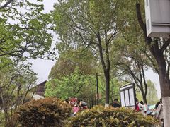 -合肥野生动物园
