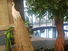 -东方之珠洗浴休闲广场(南开店)
