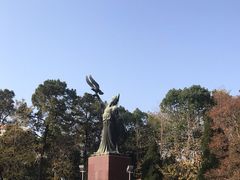 -放鹰台遗址