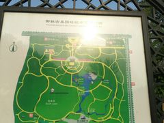 -御林古桑园