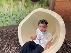 -新加坡飞禽公园