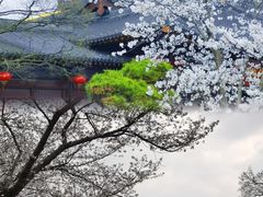 -广富林郊野公园