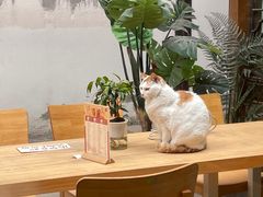 -猫的天空之城概念书店(苏州平江店)
