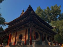 -晋祠公园