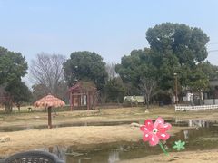 -鹅湖玫瑰文化园