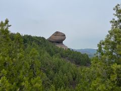 -磬锤峰森林公园