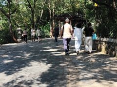 -灵岩山风景区
