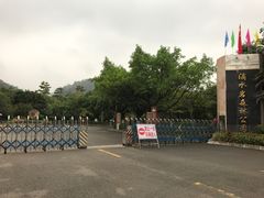 -滴水岩森林公园