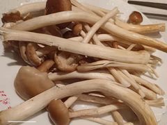 -红鼎坊·老成都火锅(新南门店)