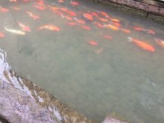 -前童古镇