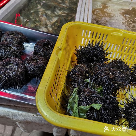 老烟台海鲜烧烤