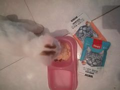 -佳怡动物医院·平价24小时·猫专科骨外科