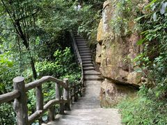 -鼎湖山风景区