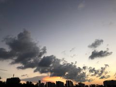 -万绿园