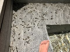 -明谷行馆·温泉