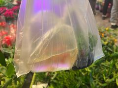 -双季花艺园艺市场(浦东店)