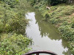 -廊坊市自然公园
