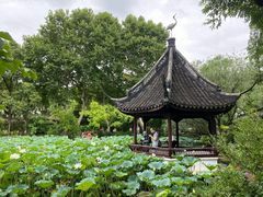 -上海醉白池公园