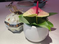 -悦江(梅奔中心店)